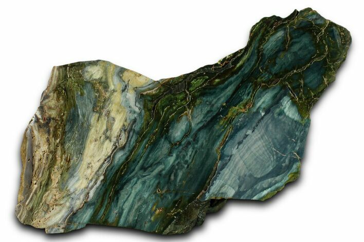 Polished Gary Green Jasper (Larsonite) Bog Wood Section - Oregon #370999
